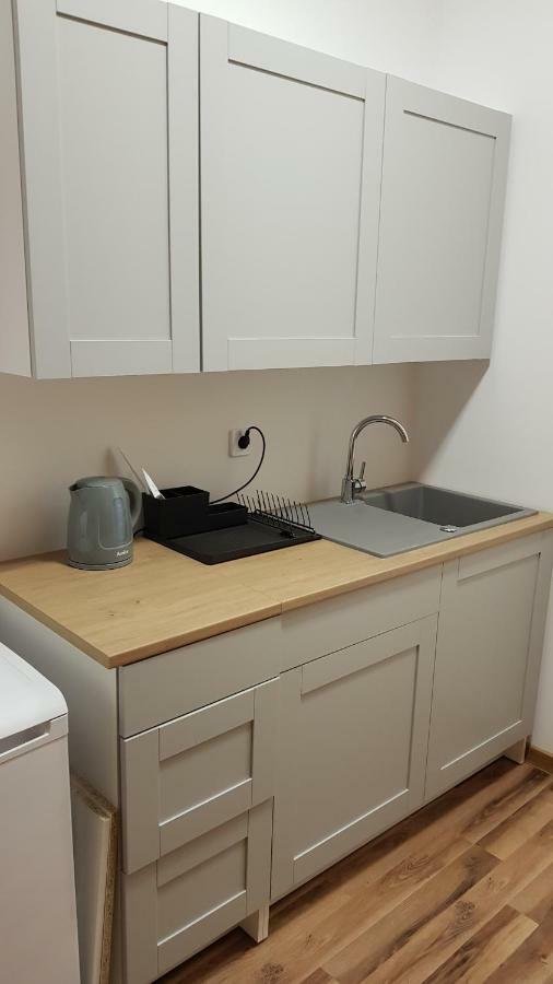 Apartament Nr 15 - 2 Pokoje Z Prywatnymi Lazienkami Centrum Posen Exterior foto